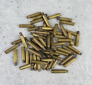 .223 Rem Rifle Brass