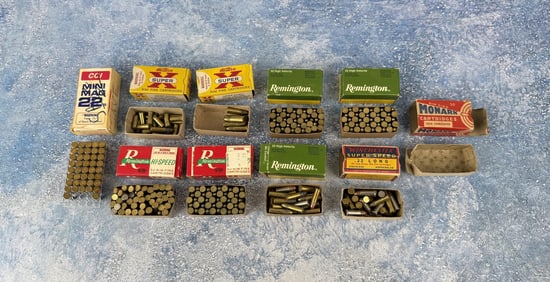 317 Rounds of .22 LR Ammo