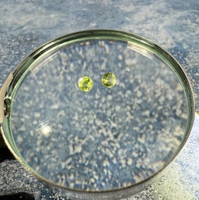 Matched Arizona Ant Hill Peridot Gemstones