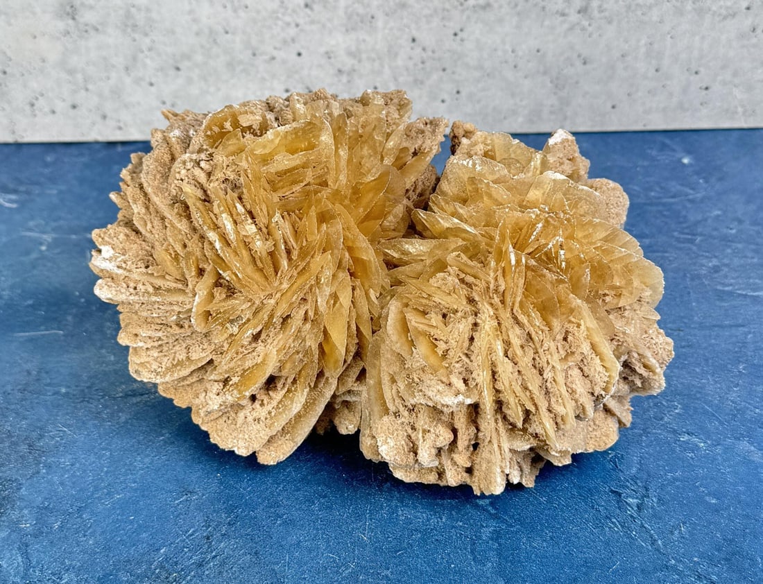 Desert Rose Selenite Cluster Mineral Specimen (1 of 4)