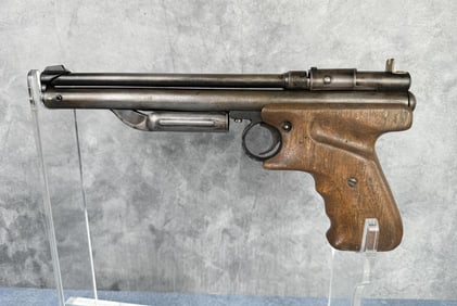 Crosman 137 Pellet Gun Pistol
