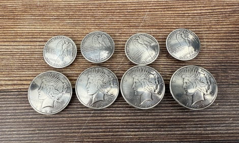 Silver Dollar and Half Dollar Size Bridle Conchos