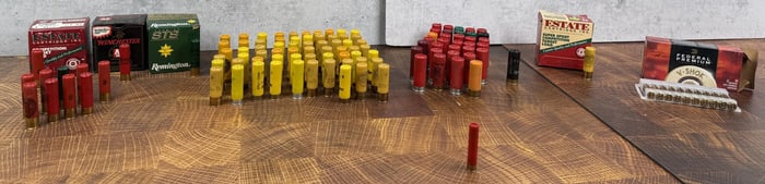 Collection of Rifle and Shotgun Ammo