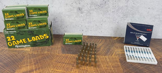 275 Rounds of .22 LR Rifle Ammo