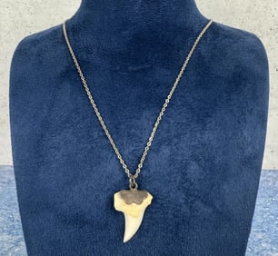 Shark Tooth Surfer Necklace