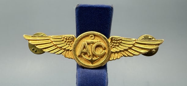 US Navy Air Crew Pilot Wing 10k GF