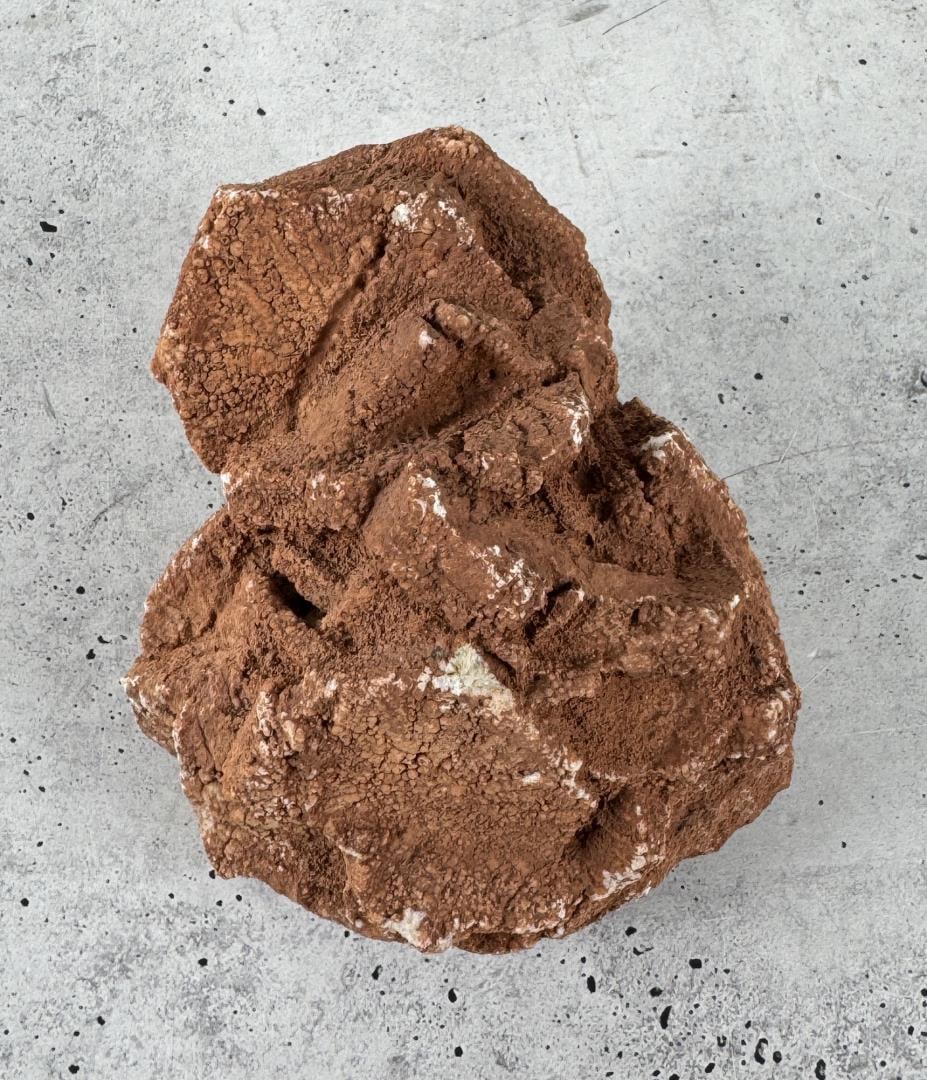 Gypsum Selenite Desert Rose Mineral Specimen (1 of 3)