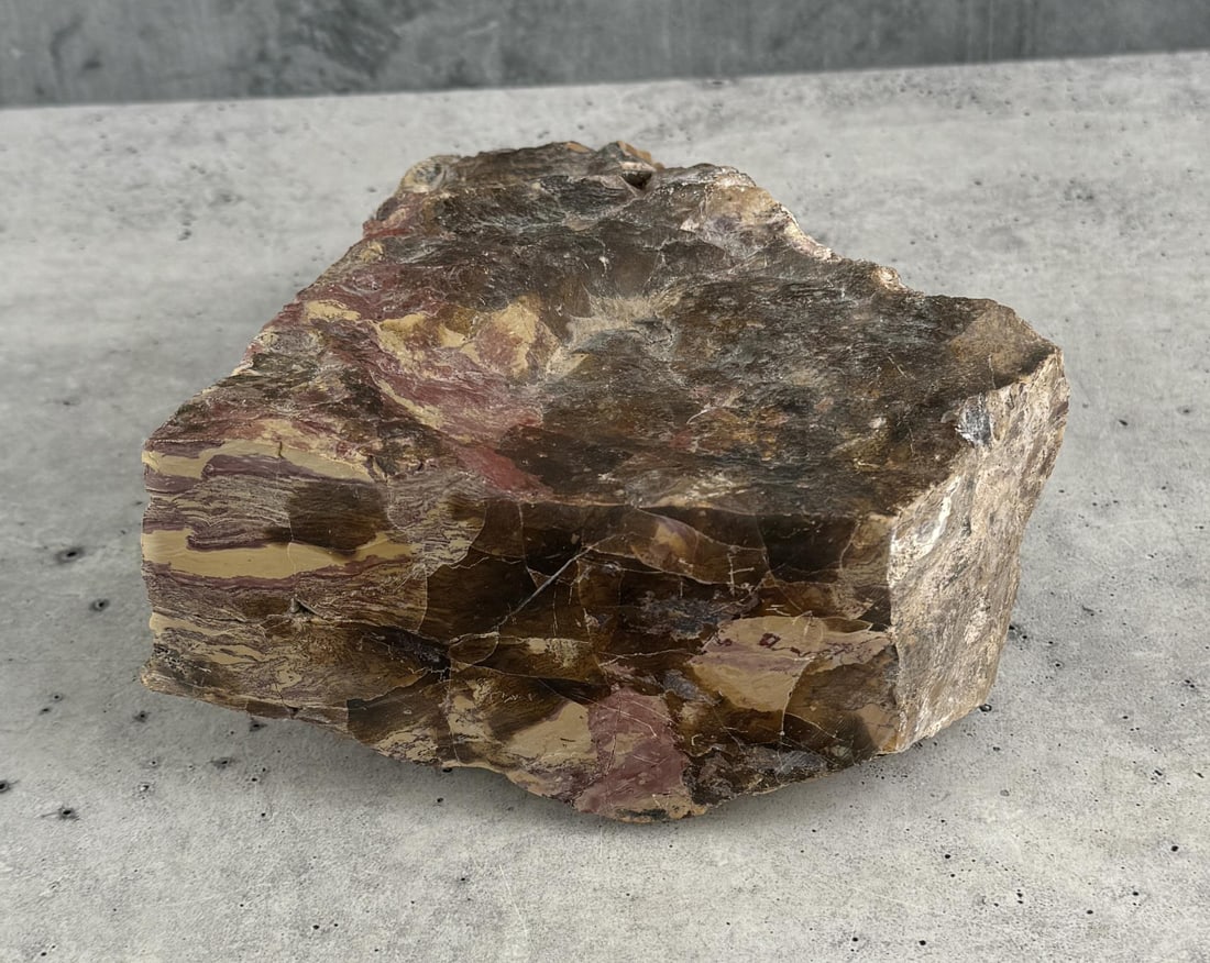 Arizona Rainbow Petrified Wood Specimen (1 of 4)