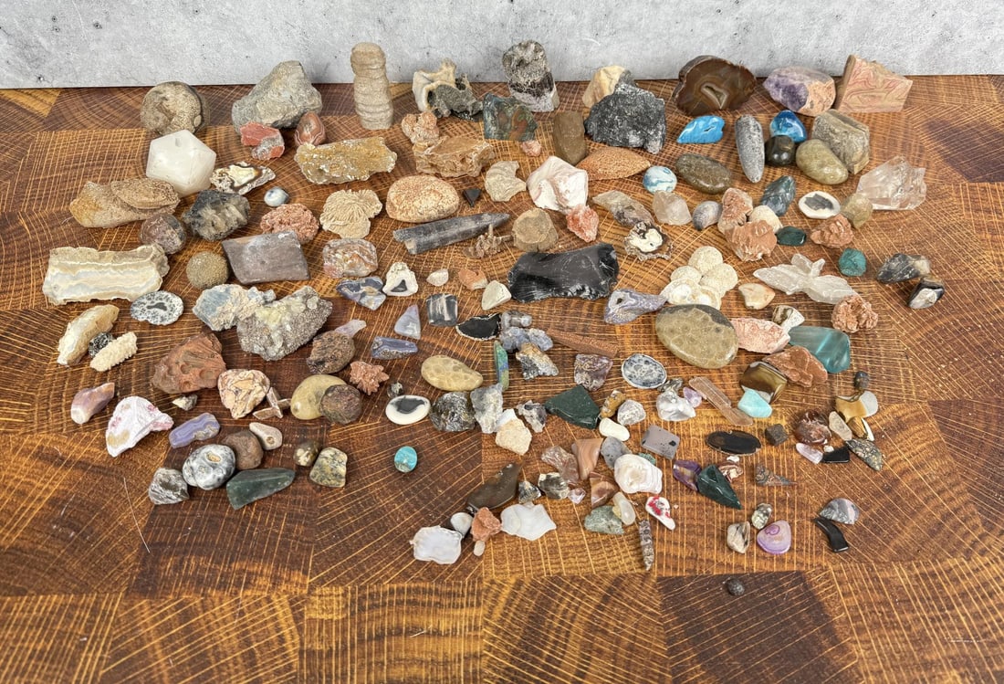 Large Collection Of Mineral & Fossil Specimens (1 of 3)