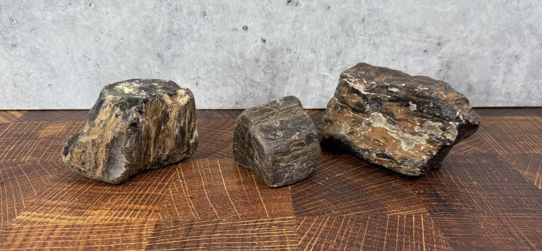 Montana Petrified Wood Lapidary Material: 4.8 lbs total weight. Provenance: From the estate of Moosehead Gallery rock shop in Hamilton, Montana.