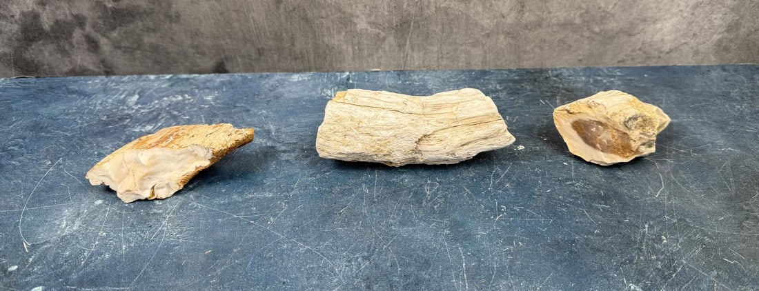 Group Of Opalized Petrified Wood (1 of 4)