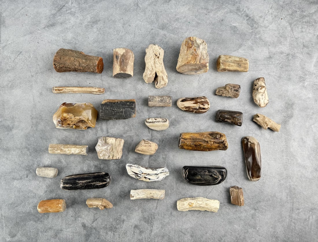 Group Of Petrified Wood Lapidary Material: 1804 grams total weight. Provenance: From the estate of Moosehead Gallery rock shop in Hamilton, Montana.