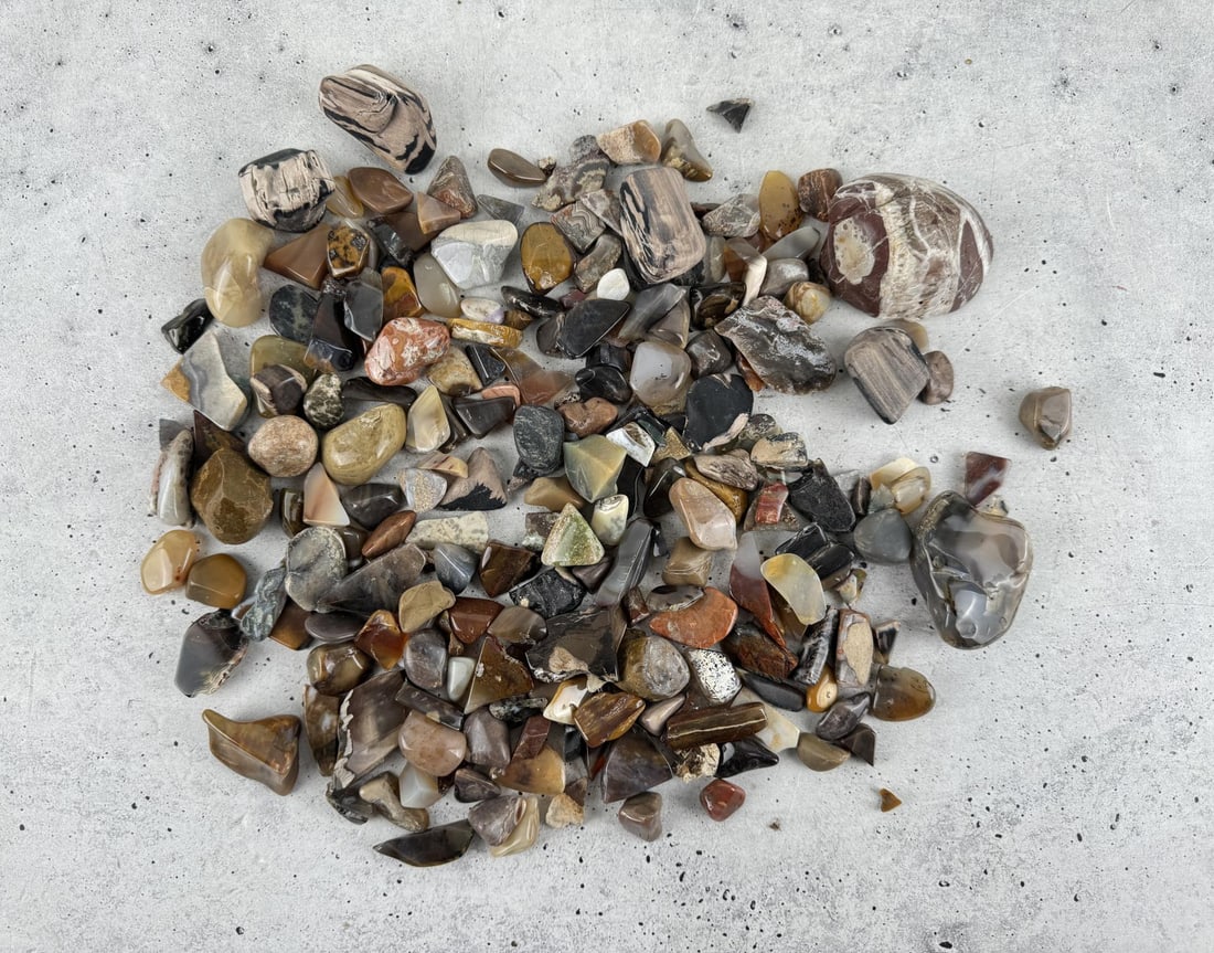 Tumbled Petrified Wood: 1258 grams. Provenance: From the estate of Moosehead Gallery rock shop in Hamilton, Montana.