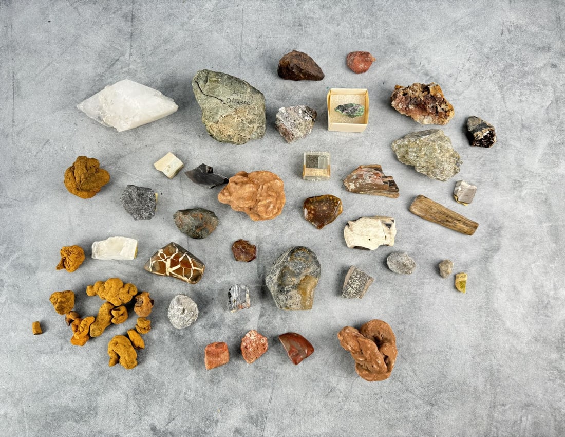 Large Collection Of Mineral & Fossil Specimens (1 of 10)