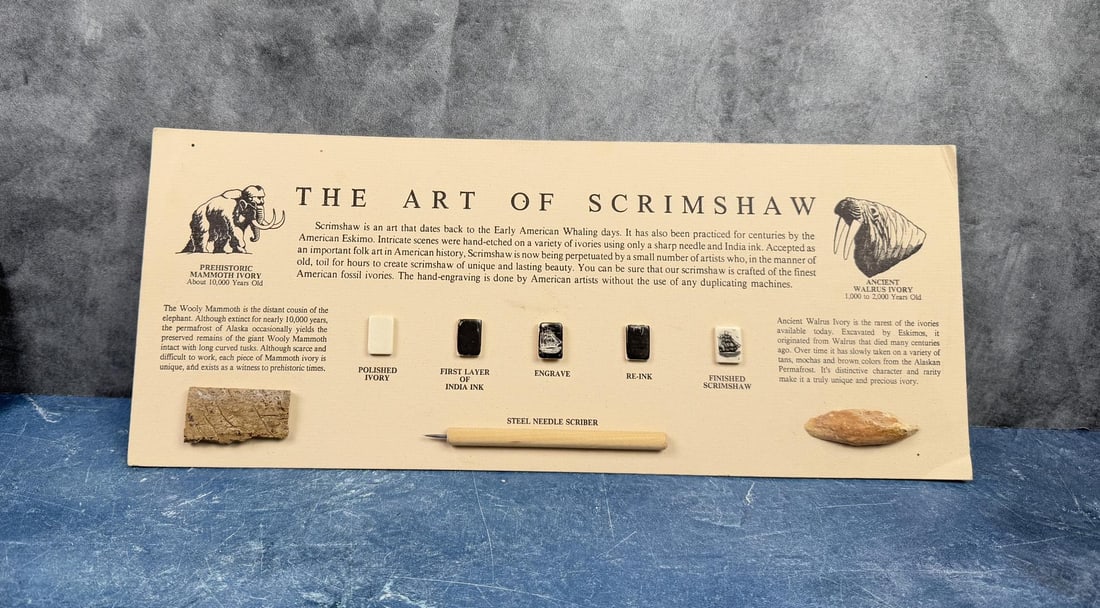 The Art of Scrimshaw: Very neat instructional diagram showing the various processes. Comes with fossil Walrus and Mammoth material pieces.