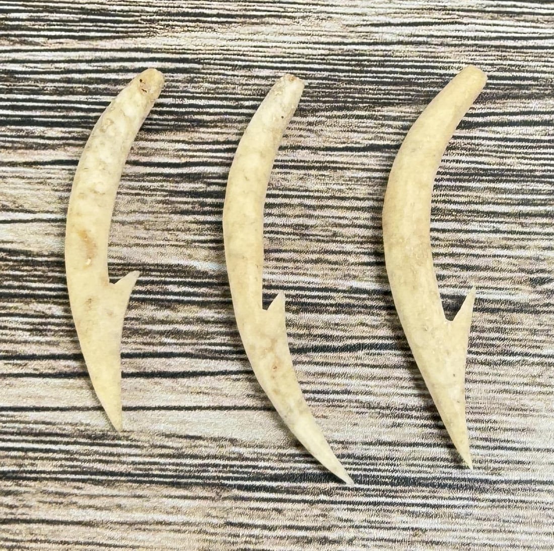 Ancient Thule Inuit Alaskan Fish Hooks (1 of 4)