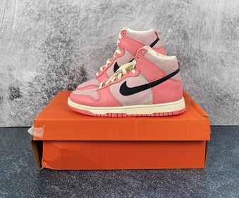 Nike DX3359-600 Dunk High Hoops