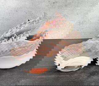 Nike DJ3072-064 Air Zoom SuperRep 2
