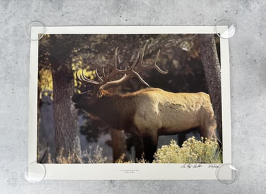 LuRay Parker Signed Print Yellowstone Bull Elk