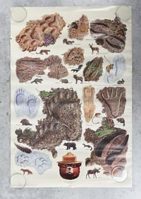 USFS Forest Service Wildlife Tracks Poster