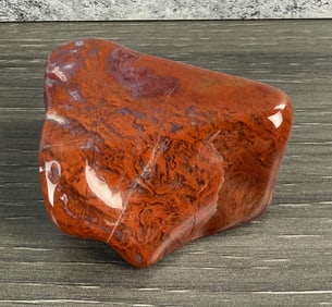 Polished Rainbow Petrified Wood