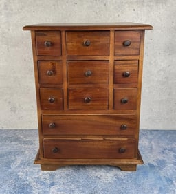 Indonesian Mahogany Apothecary Cabinet Organizer