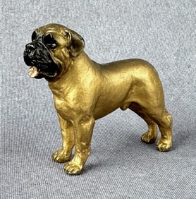Austrian Cold Painted Bullmastiff Dog