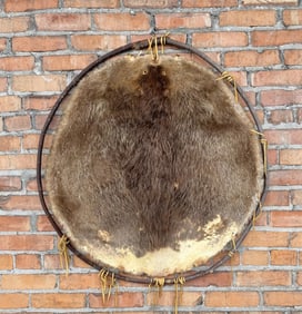 Montana Taxidermy Hooped Beaver Hide Pelt