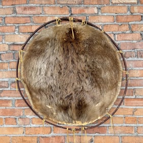 Montana Taxidermy Hooped Beaver Hide Pelt