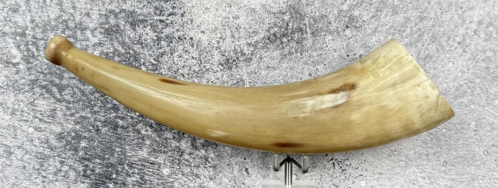 Black Powder Rendezvous Powder Horn