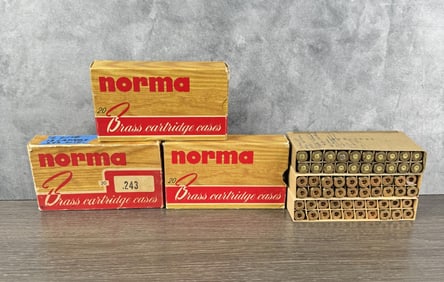 Norma .243 Rifle Ammo and Brass