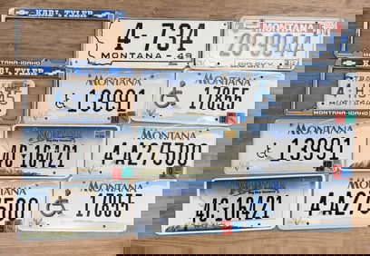Collection of Montana License Plates