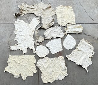 Collection of Brain Tanned Leather Deer Hides