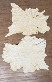 Brain Tanned Leather Deer Hides