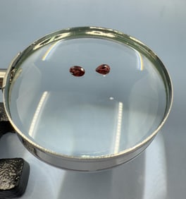 1.5ct Faceted Garnet Gemstones
