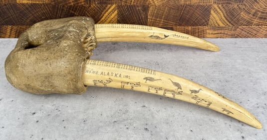 Nome Alaska Eskimo Inuit Walrus Cribbage Board