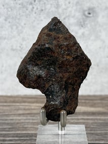 Campo Del Cielo Octahedrite Meteorite