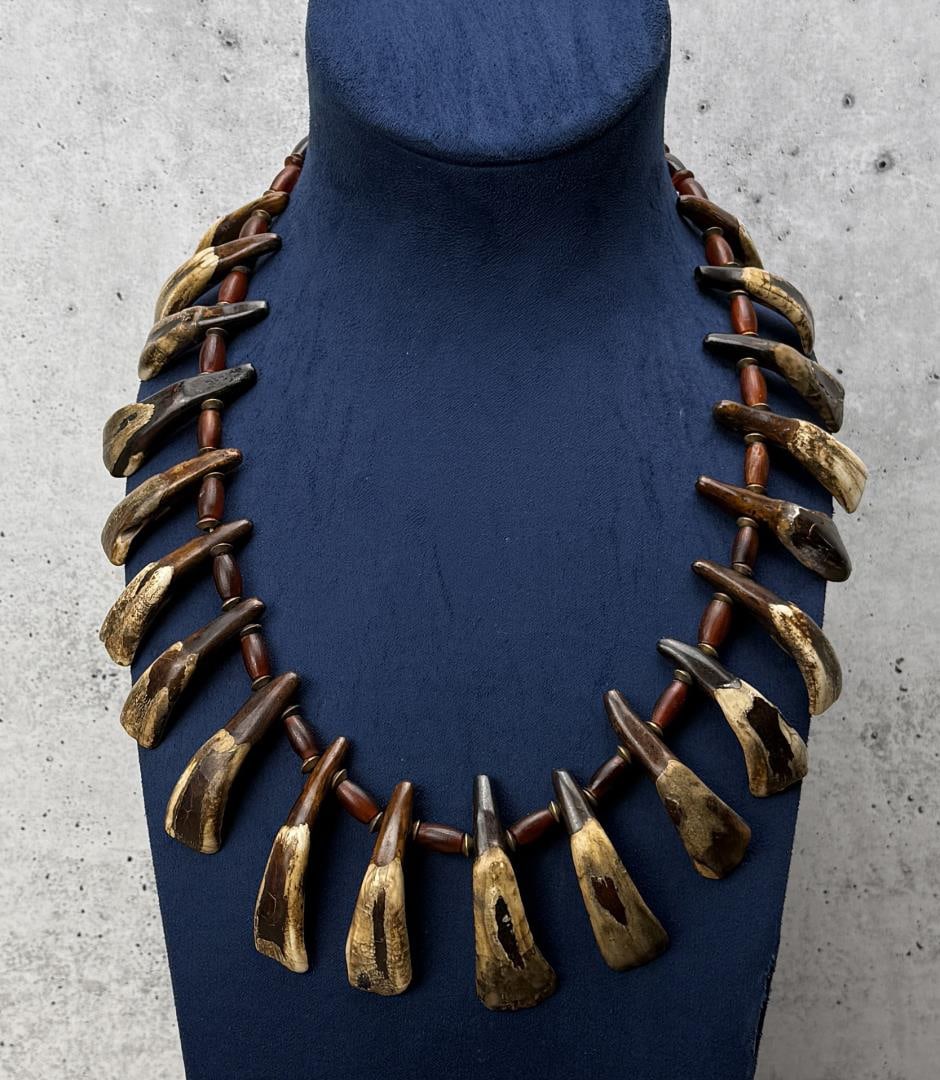 Plains Indian Buffalo Tooth Necklace: 14 3/8" long closed.