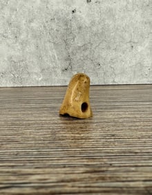 Ancient Thule Inuit Alaskan Eskimo Toggle