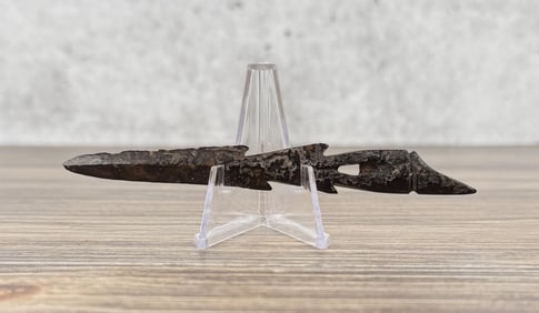 Ancient Thule Inuit Alaskan Eskimo Harpoon Point