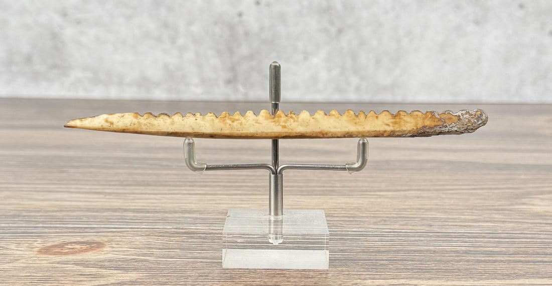 Ancient Thule Inuit Alaskan Eskimo Harpoon Point (1 of 3)