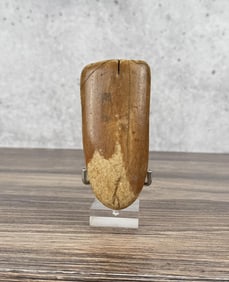 Ancient Thule Inuit Alaskan Eskimo Adze Head
