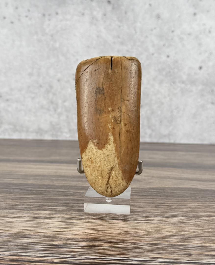 Ancient Thule Inuit Alaskan Eskimo Adze Head: 5 1/8" by 2 1/2". Carved walrus material. Native made prior to 1972. This item cannot be shipped to Oregon, California, Hawaii, New York, New Jersey, Internationally, or any other state that prohibits