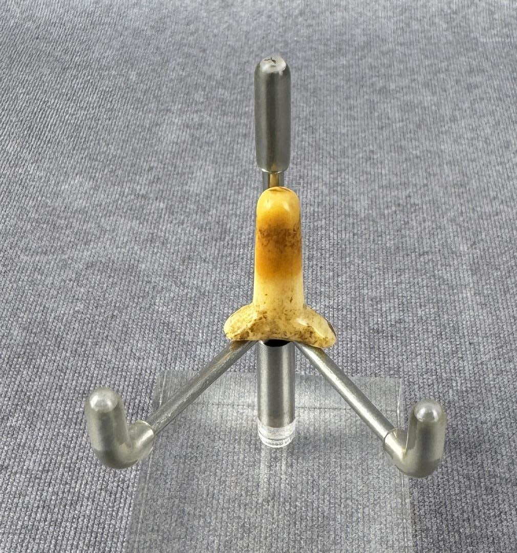 Ancient Thule Inuit Alaskan Eskimo Labret (1 of 4)
