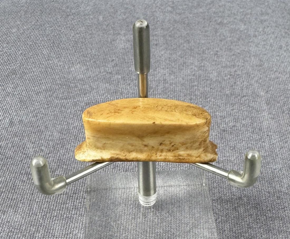 Ancient Thule Inuit Alaskan Eskimo Labret (1 of 4)