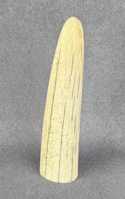 Walrus Tusk Tip Montana Residents Only