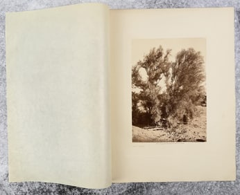 Edward Curtis Photogravure Palo Verde