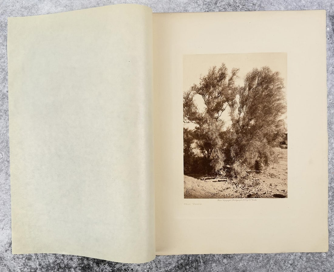 Edward Curtis Photogravure Palo Verde (1 of 4)