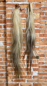 Tanned Horse Tails