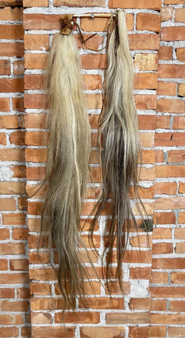 Tanned Horse Tails (1 of 3)